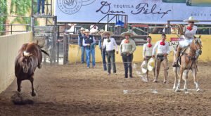 Gran éxito el campeonato millonario XXV Tequila Hacienda Vieja